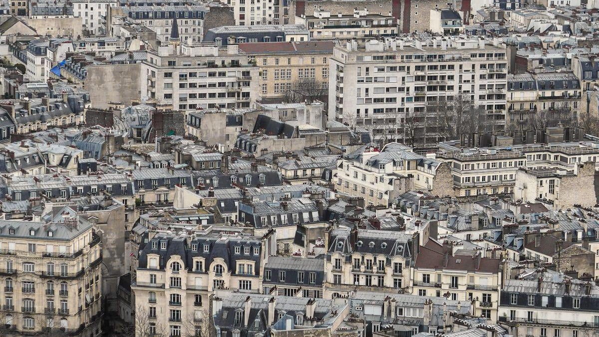 Vue aérienne des toits et des immeubles haussmanniens de Paris